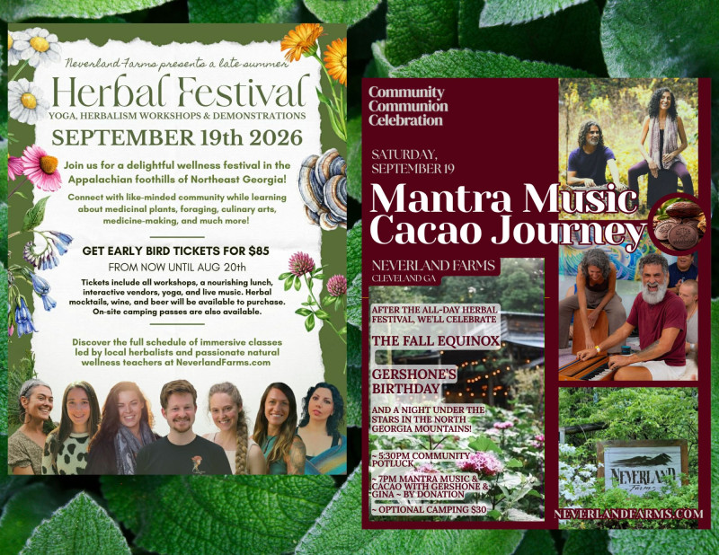 Herbal Wellness Retreat